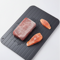 ThawMate™ Rapid Defrost Plate
